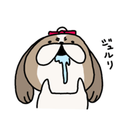 Shih Tzu 3 sticker #10189668
