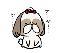 Shih Tzu 3 sticker #10189669