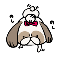 Shih Tzu 3 sticker #10189670