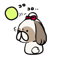 Shih Tzu 3 sticker #10189673