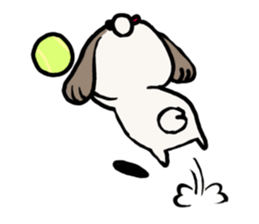 Shih Tzu 3 sticker #10189674