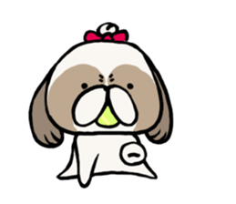 Shih Tzu 3 sticker #10189675