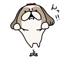 Shih Tzu 3 sticker #10189676