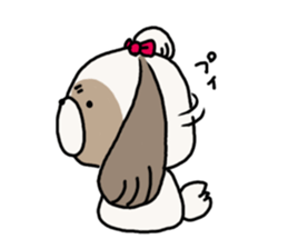 Shih Tzu 3 sticker #10189677