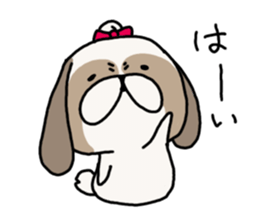 Shih Tzu 3 sticker #10189680