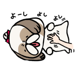 Shih Tzu 3 sticker #10189681