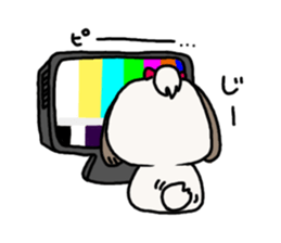 Shih Tzu 3 sticker #10189683