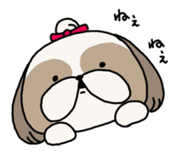 Shih Tzu 3 sticker #10189686