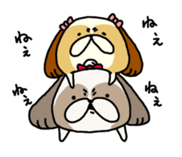Shih Tzu 3 sticker #10189687