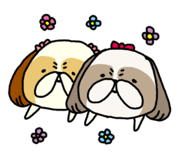 Shih Tzu 3 sticker #10189689