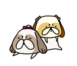 Shih Tzu 3 sticker #10189690