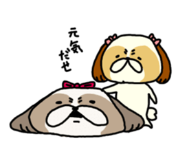 Shih Tzu 3 sticker #10189691