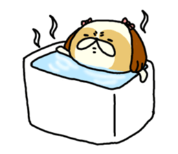 Shih Tzu 3 sticker #10189692