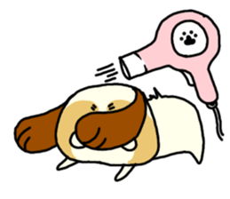 Shih Tzu 3 sticker #10189693