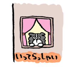 Border Collie everyday Sticker sticker #10190019