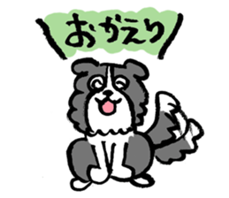 Border Collie everyday Sticker sticker #10190020