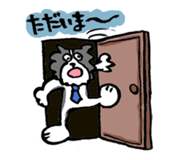 Border Collie everyday Sticker sticker #10190022