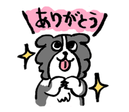 Border Collie everyday Sticker sticker #10190024