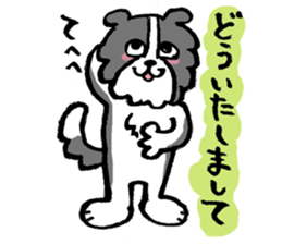 Border Collie everyday Sticker sticker #10190025