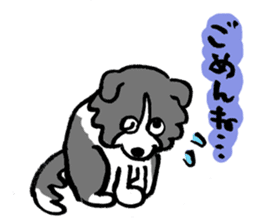 Border Collie everyday Sticker sticker #10190026