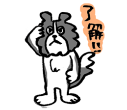 Border Collie everyday Sticker sticker #10190028