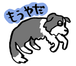 Border Collie everyday Sticker sticker #10190029