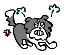 Border Collie everyday Sticker sticker #10190033