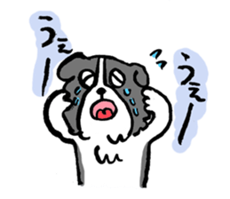 Border Collie everyday Sticker sticker #10190034