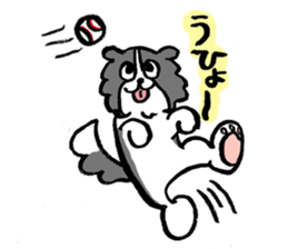 Border Collie everyday Sticker sticker #10190035