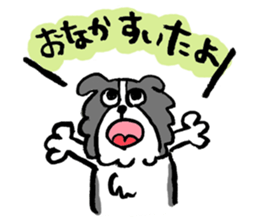 Border Collie everyday Sticker sticker #10190036