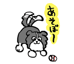 Border Collie everyday Sticker sticker #10190041