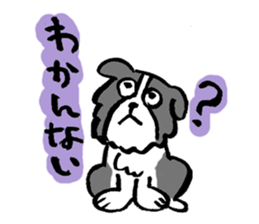 Border Collie everyday Sticker sticker #10190044