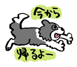 Border Collie everyday Sticker sticker #10190045