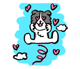 Border Collie everyday Sticker sticker #10190049