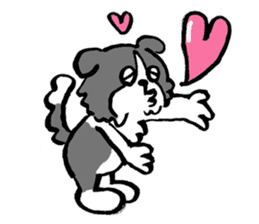 Border Collie everyday Sticker sticker #10190050