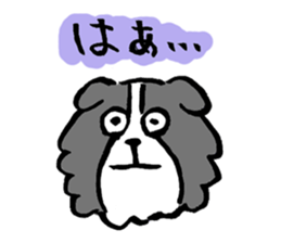 Border Collie everyday Sticker sticker #10190051