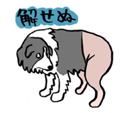 Border Collie everyday Sticker sticker #10190052