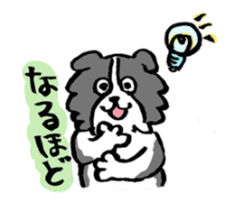 Border Collie everyday Sticker sticker #10190053