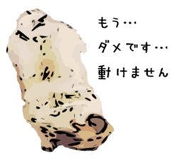 My Dog. Mame&Fuku sticker #10192021