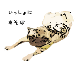 My Dog. Mame&Fuku sticker #10192033