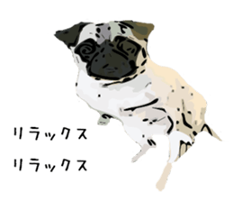 My Dog. Mame&Fuku sticker #10192037