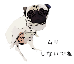 My Dog. Mame&Fuku sticker #10192038