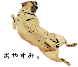 My Dog. Mame&Fuku sticker #10192044