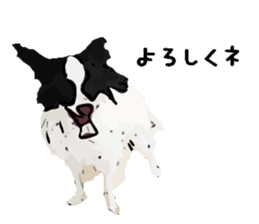 My Dog. Mame&Fuku sticker #10192053