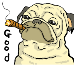 co-chan pug 2 sticker #10194512