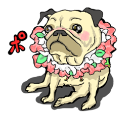 co-chan pug 2 sticker #10194514