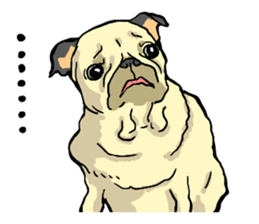 co-chan pug 2 sticker #10194521