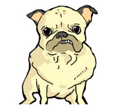 co-chan pug 2 sticker #10194527