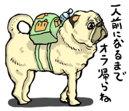 co-chan pug 2 sticker #10194528
