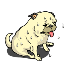 co-chan pug 2 sticker #10194534
